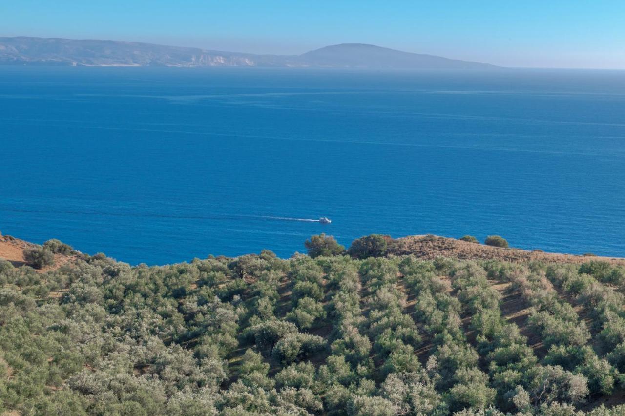 Tranquil Sea View Villa With Private Pool, Just 2Km From The Beach! أغيا غاليني المظهر الخارجي الصورة